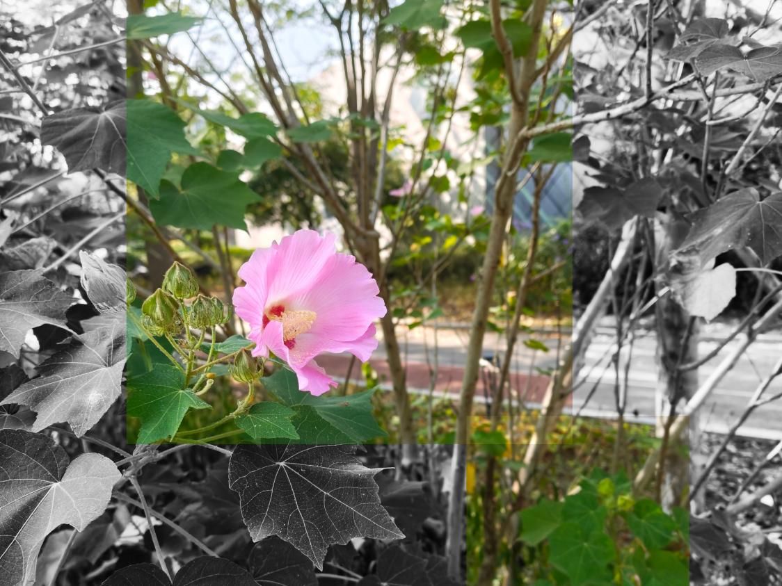 微信图片_20251128175710_15_37