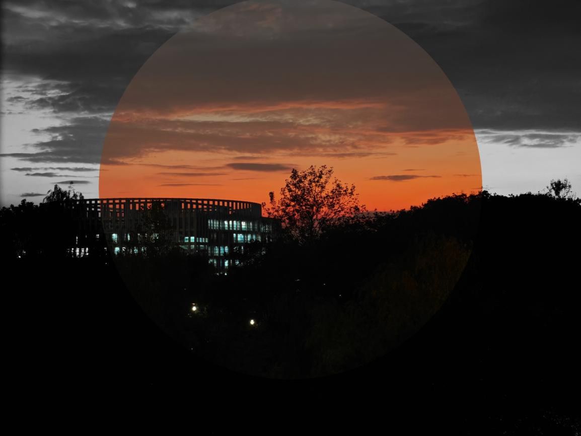 微信图片_20251128174615_308_11