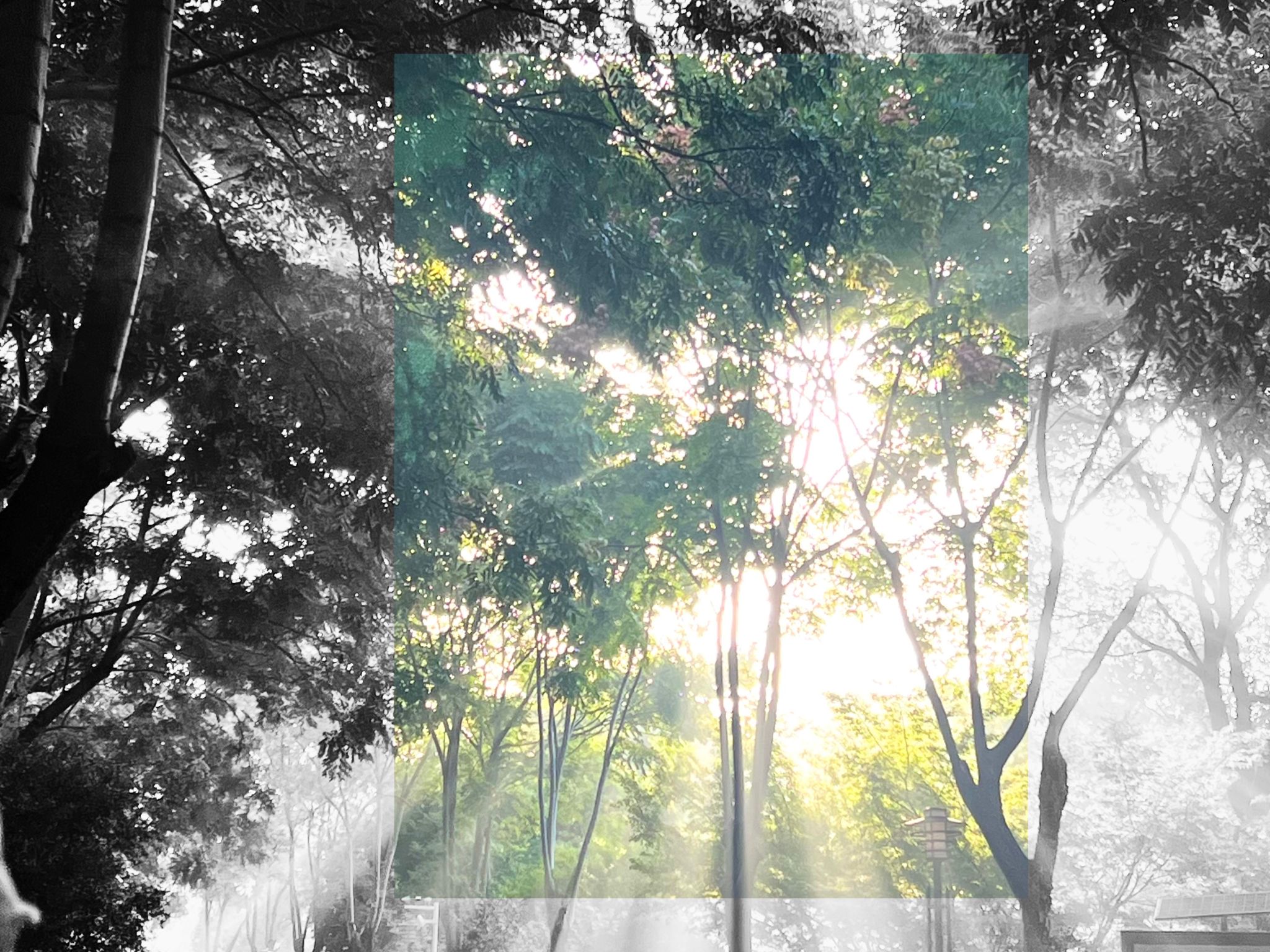 微信图片_20251128175714_17_37